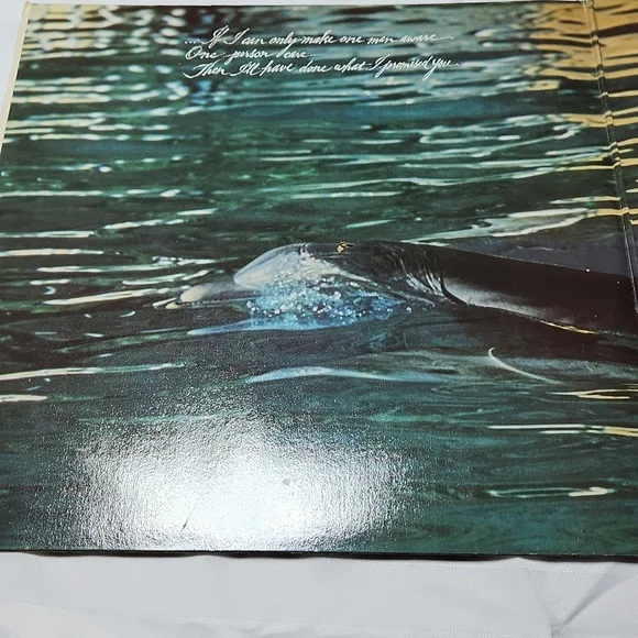 Vinyl Record - Physical - Red Cover - Picture 3 of 8